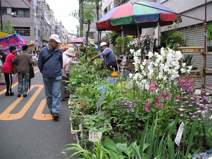 291 浅草 お富士さんの植木市 気ままな いい旅 ネット 第四部